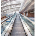 0 Degree Flat Moving Walkway Passenger Conveyor untuk Lapangan Terbang